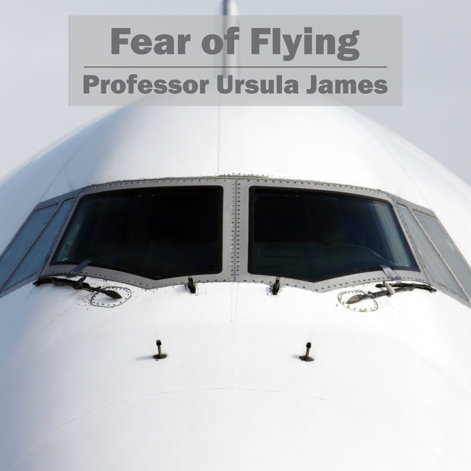 Fear of Flying MP3