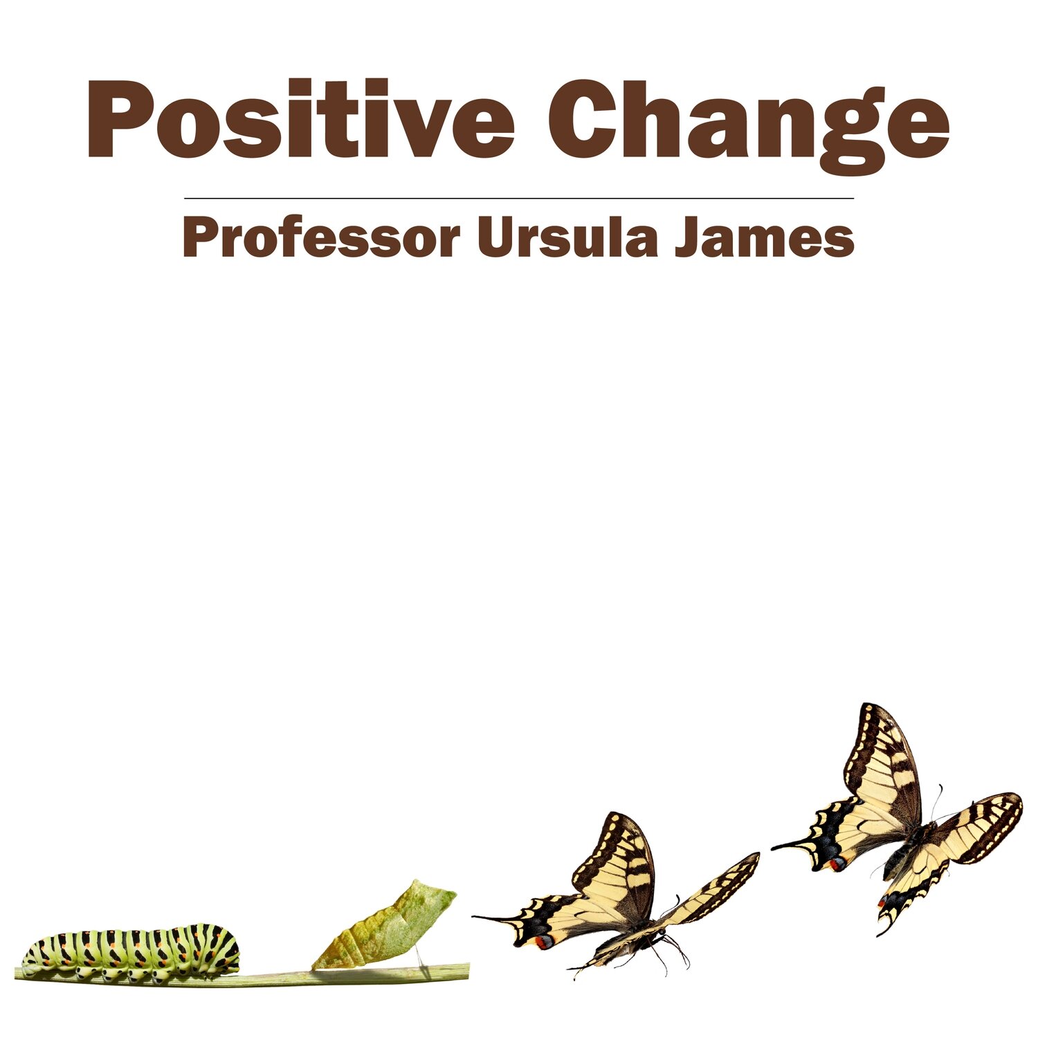 Positive Change MP3