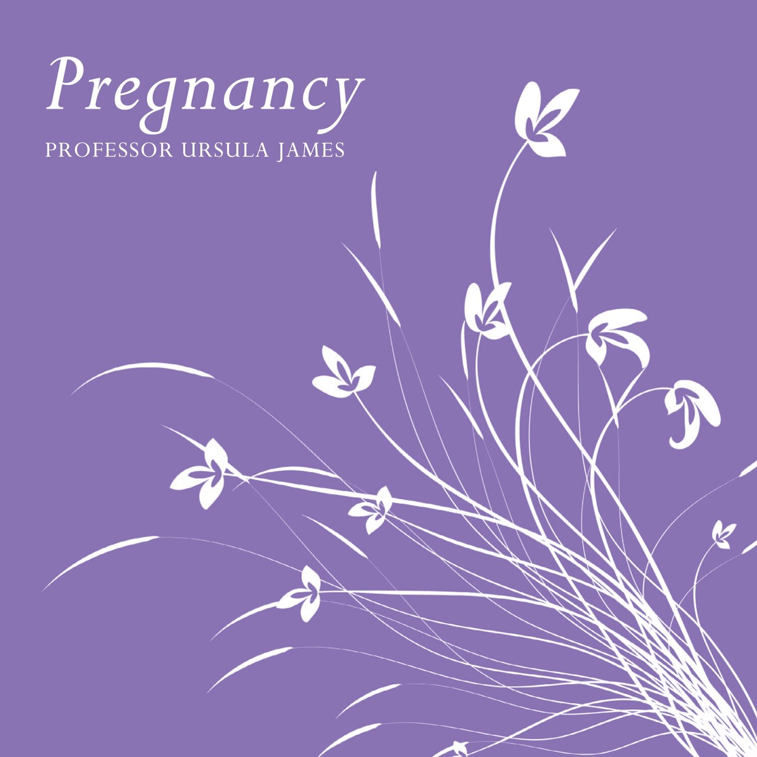 Pregnancy MP3