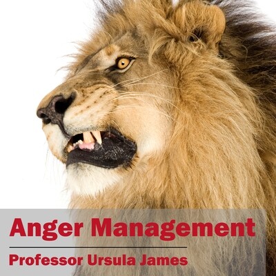 Anger Management MP3