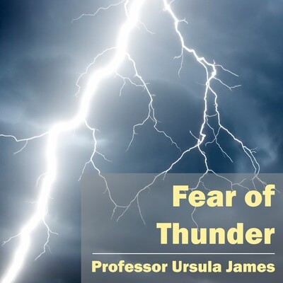 Fear of Thunder MP3