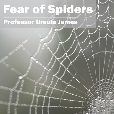 Fear of Spiders MP3