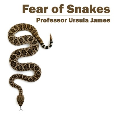 Fear of Snakes MP3
