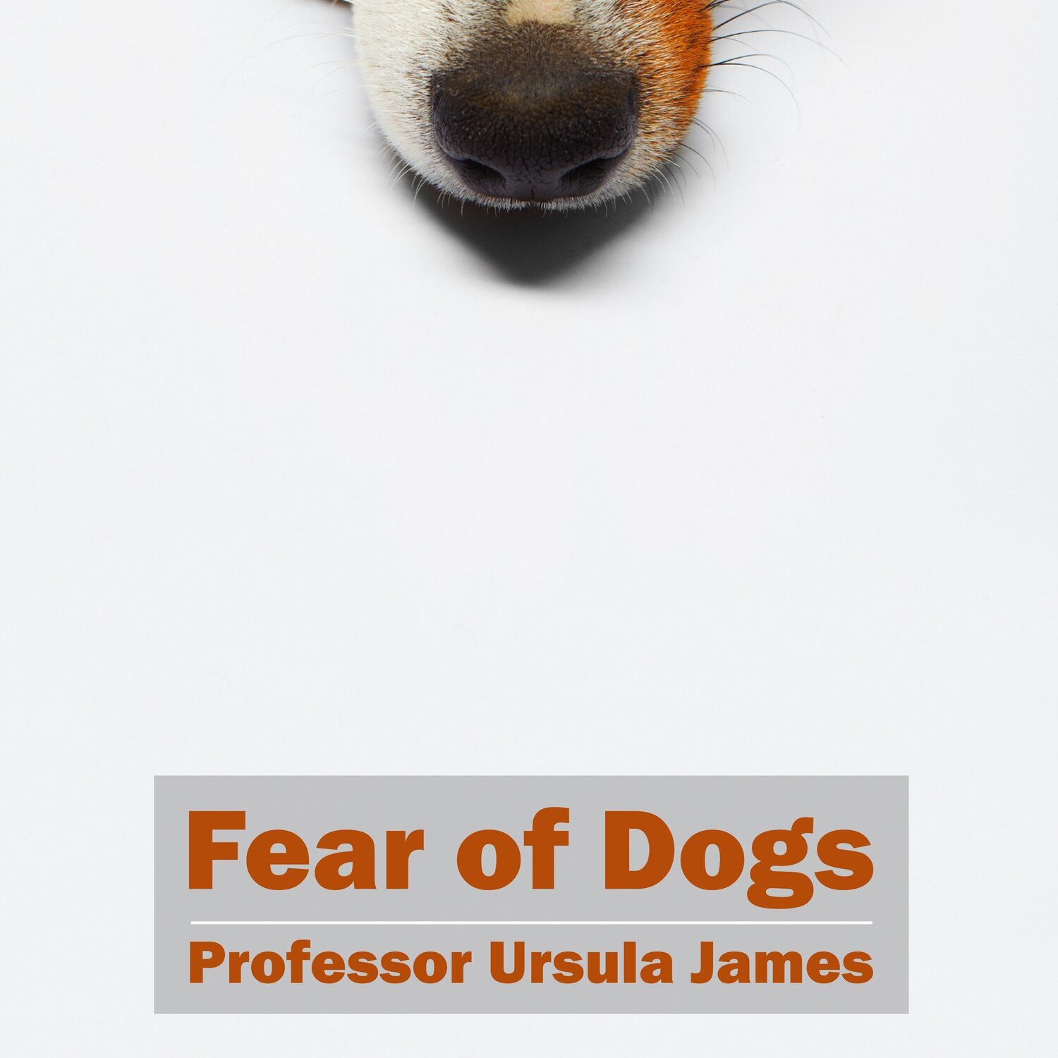 Fear of Dogs MP3