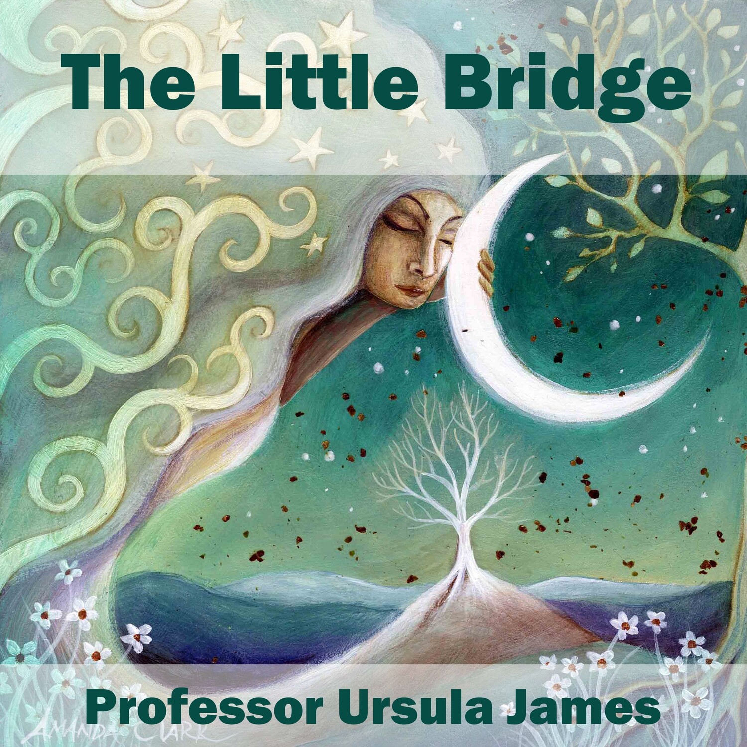 The Little Bridge