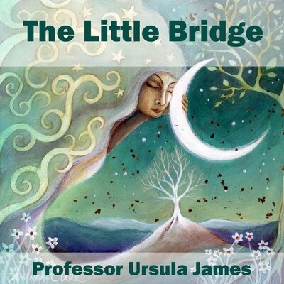 The Little Bridge The Little Bridge