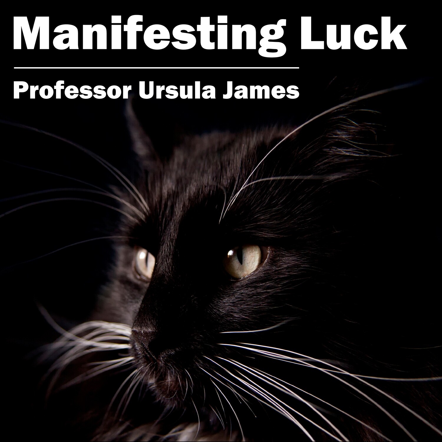 Manifesting Luck