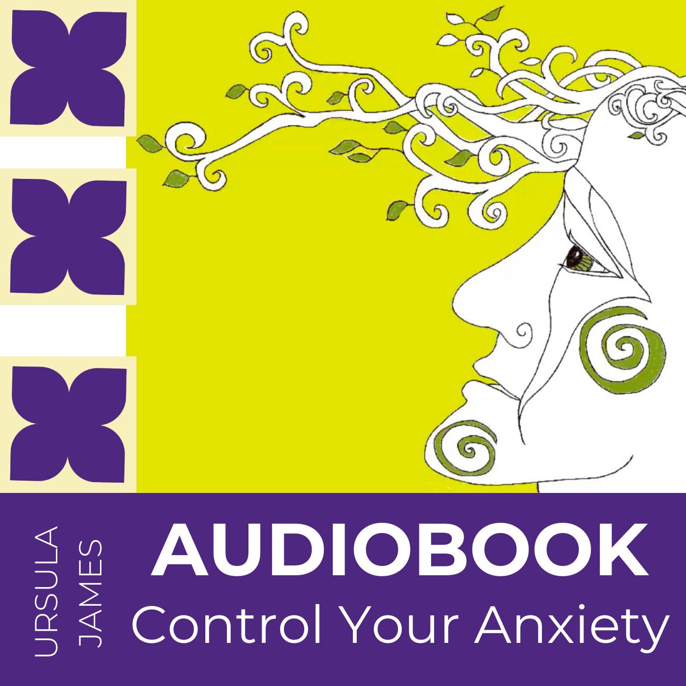 Control Your Anxiety Audiobook