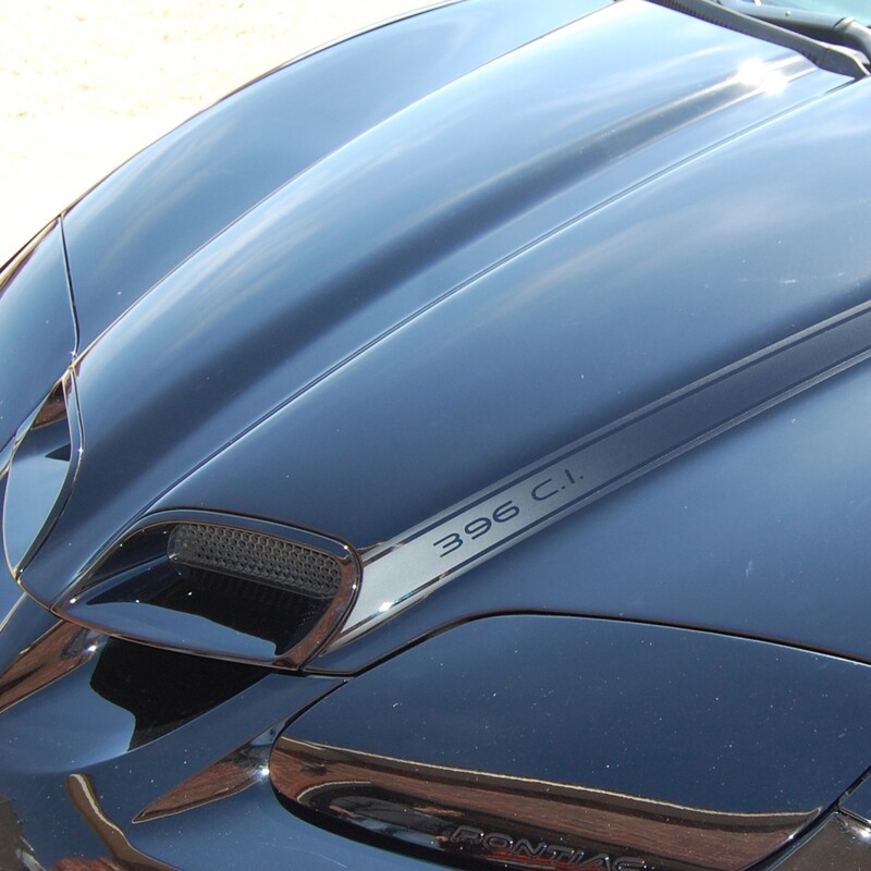 Blackbird Style Stripes