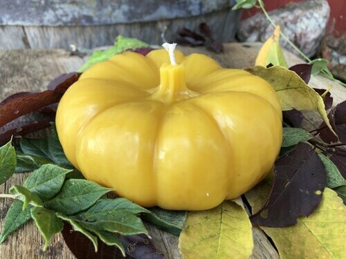 Large Pumpkin Bees Wax Candle