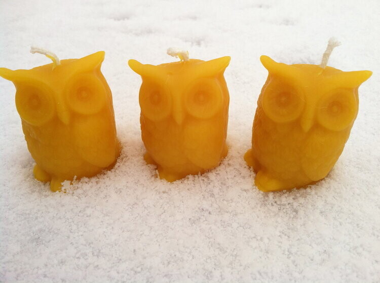 Small Owl Candle