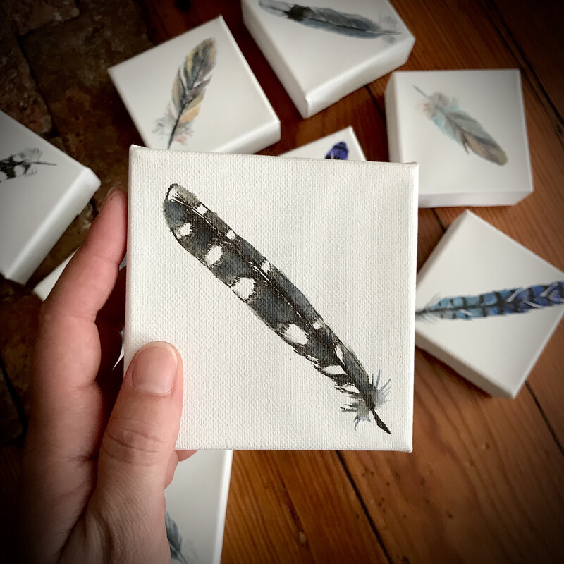 Watercolor Woodpecker Feather