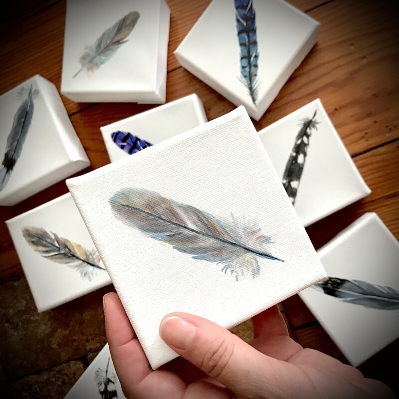Watercolor Brown Feather 