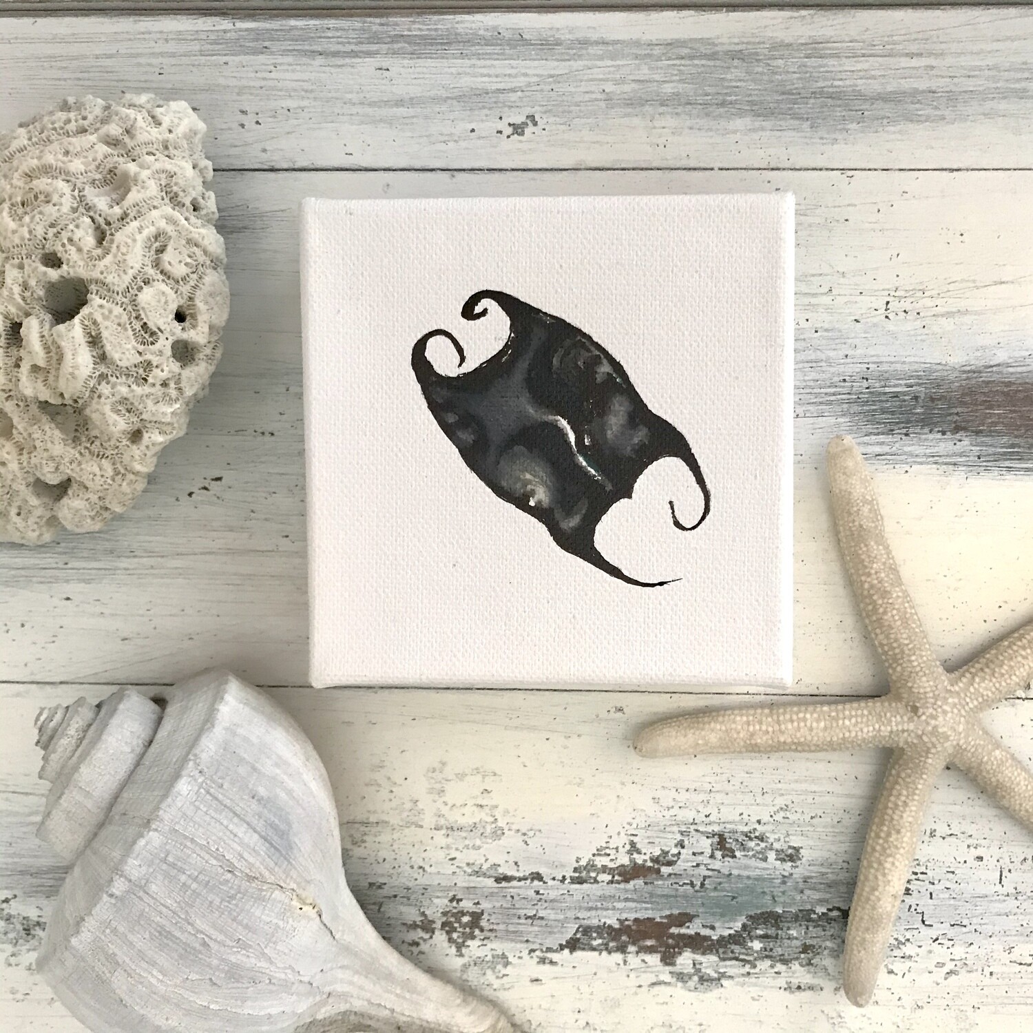 Watercolor Seaside Original ( Skate egg case or Mermaid&#39;s Purse)