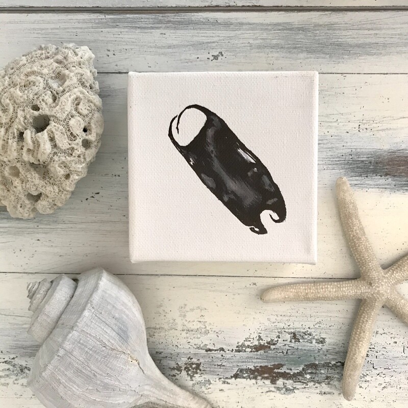 Watercolor Seaside Original ( Skate egg case or Mermaid&#39;s Purse)
