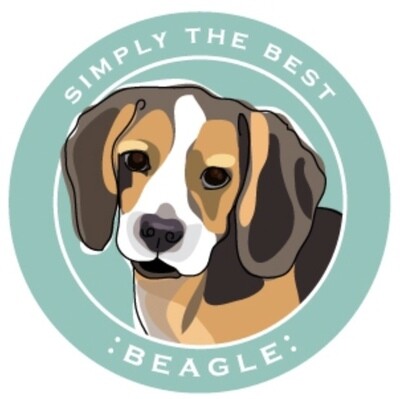 Paper Russells Round Car Magnet BEAGLE