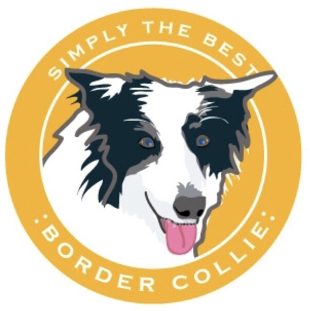 Paper Russells Round Car Magnet BORDER COLLIE