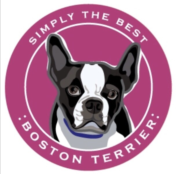Paper Russells Round Car Magnet BOSTON TERRIER