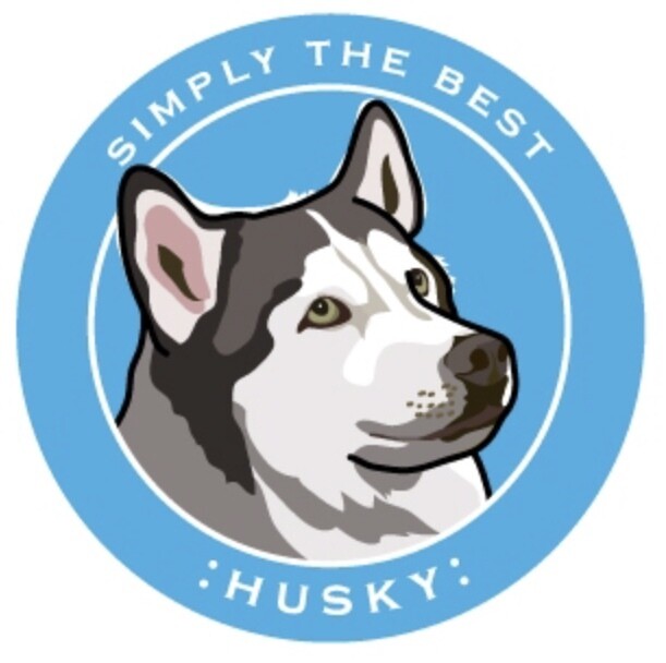 Paper Russells Round Car Magnet HUSKY