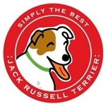 Paper Russells Round Car Magnet JACK RUSSELL TERRIER