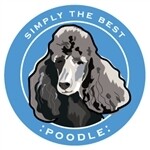 Paper Russells Round Car Magnet POODLE