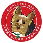 Paper Russells Round Car Magnet YORKSHIRE TERRIER