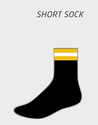 RJFC Short Socks (new for 2026)