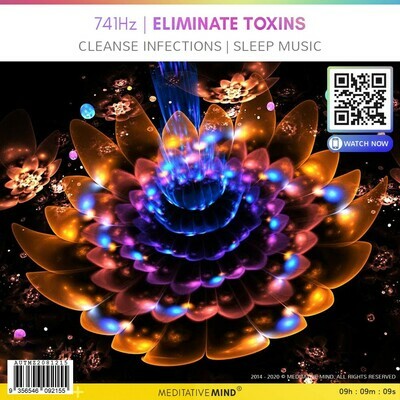 741Hz | ELIMINATE TOXINS - Cleanse Infections l Sleep Music