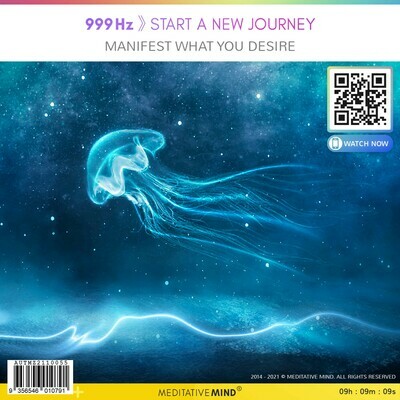 999Hz 》Start a New Journey - Manifest what you desire