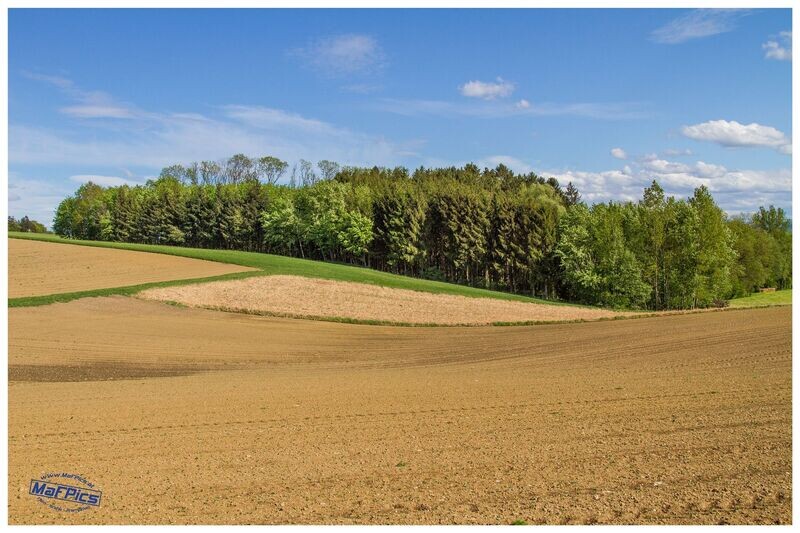 Landschaft