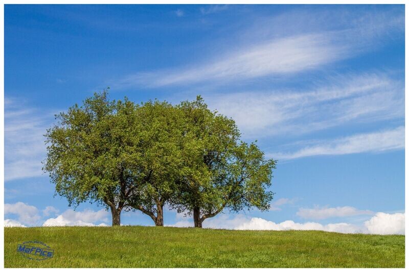 Landschaft Mostviertel