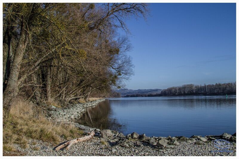 Landschaft Donaustrand