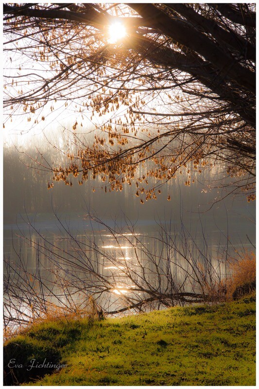 Landschaft Donau
