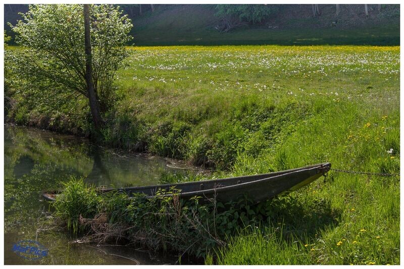 Landschaft Zille