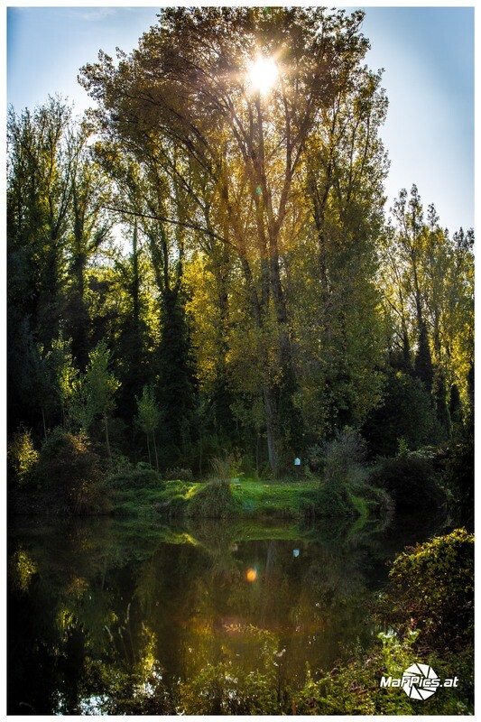 Donau Au
