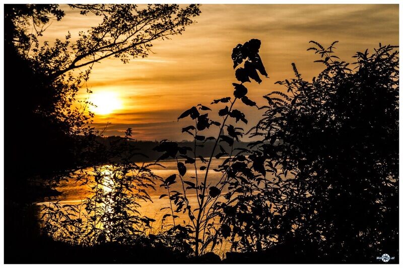 Sonnenuntergang Richtung Wallsee