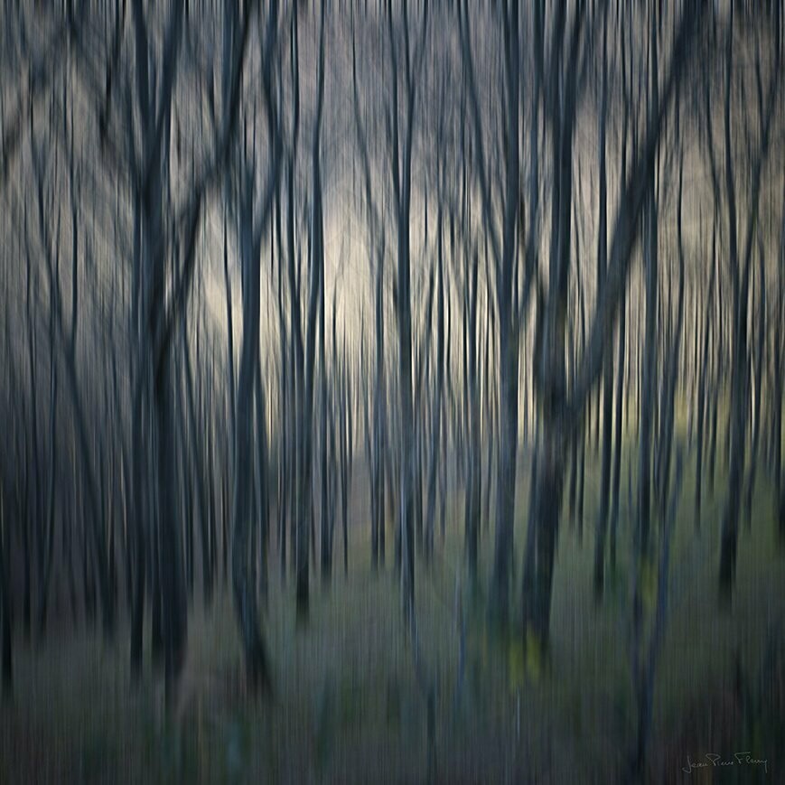 Jean Pierre FLEURY - "Forêt dense"