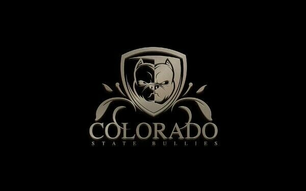(Bully Breeed Distro and CSB) presesnts OrganizaBull(Bully merch and pet purchasing)