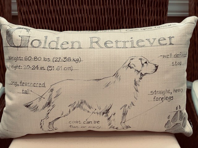 Golden Retriever Blueprint Farmhouse Pillow