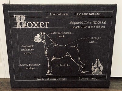 Boxer Blueprint Wrapped Canvas Art Boxer Blueprint Wrapped Canvas Art