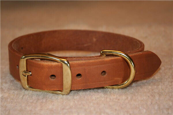 Leather Dog Collar