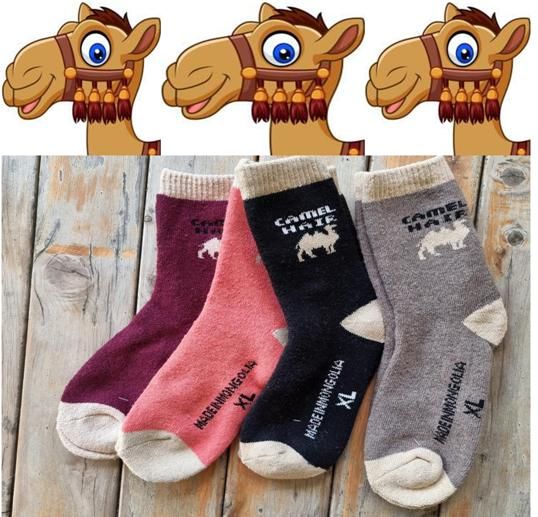 SOCKS novelty CAMEL NATURAL FIBRES 2 PAIR/PACK Ladies sock size only -soft warm durable-believe it! Above ankle comfy sock. Great gift 2 pairs. This batch 5 colours, with heel/toes in beige colour.