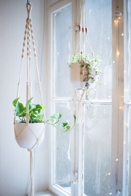 Macrame plant hanger tutorial - pdf printable instructions only