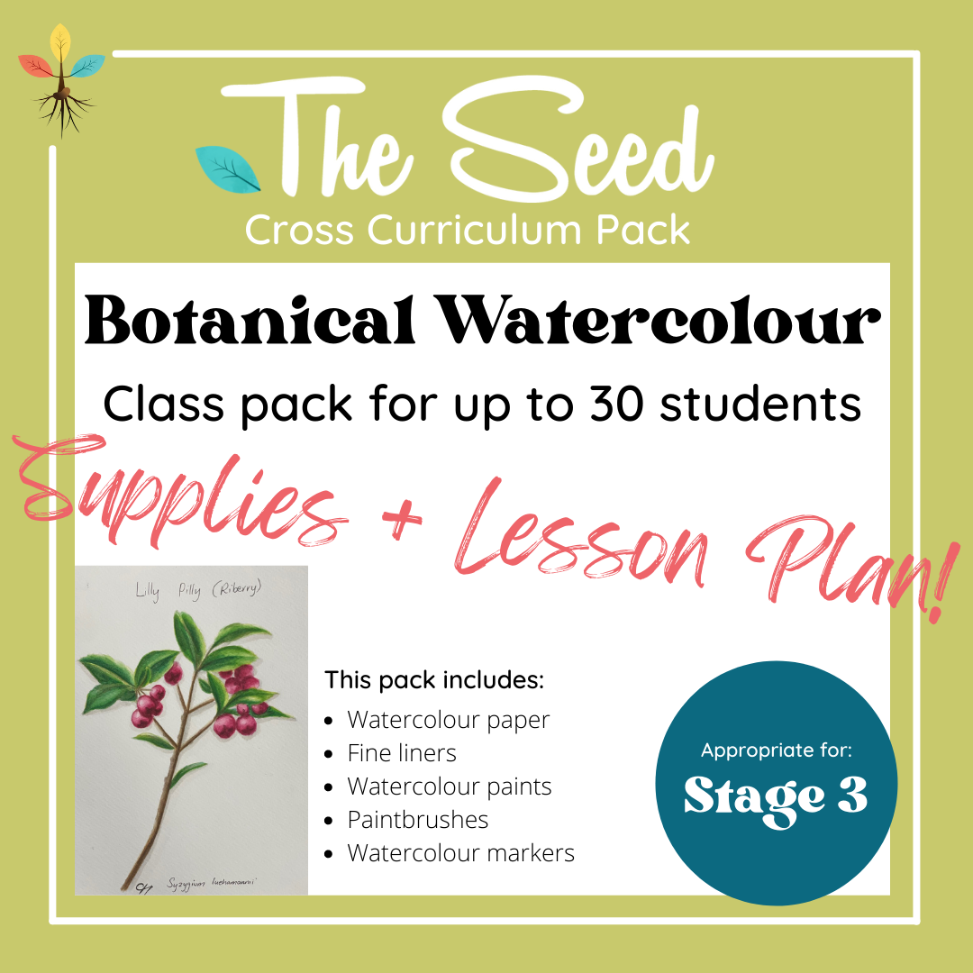 Botanical Watercolour! 30 Student Class Pack