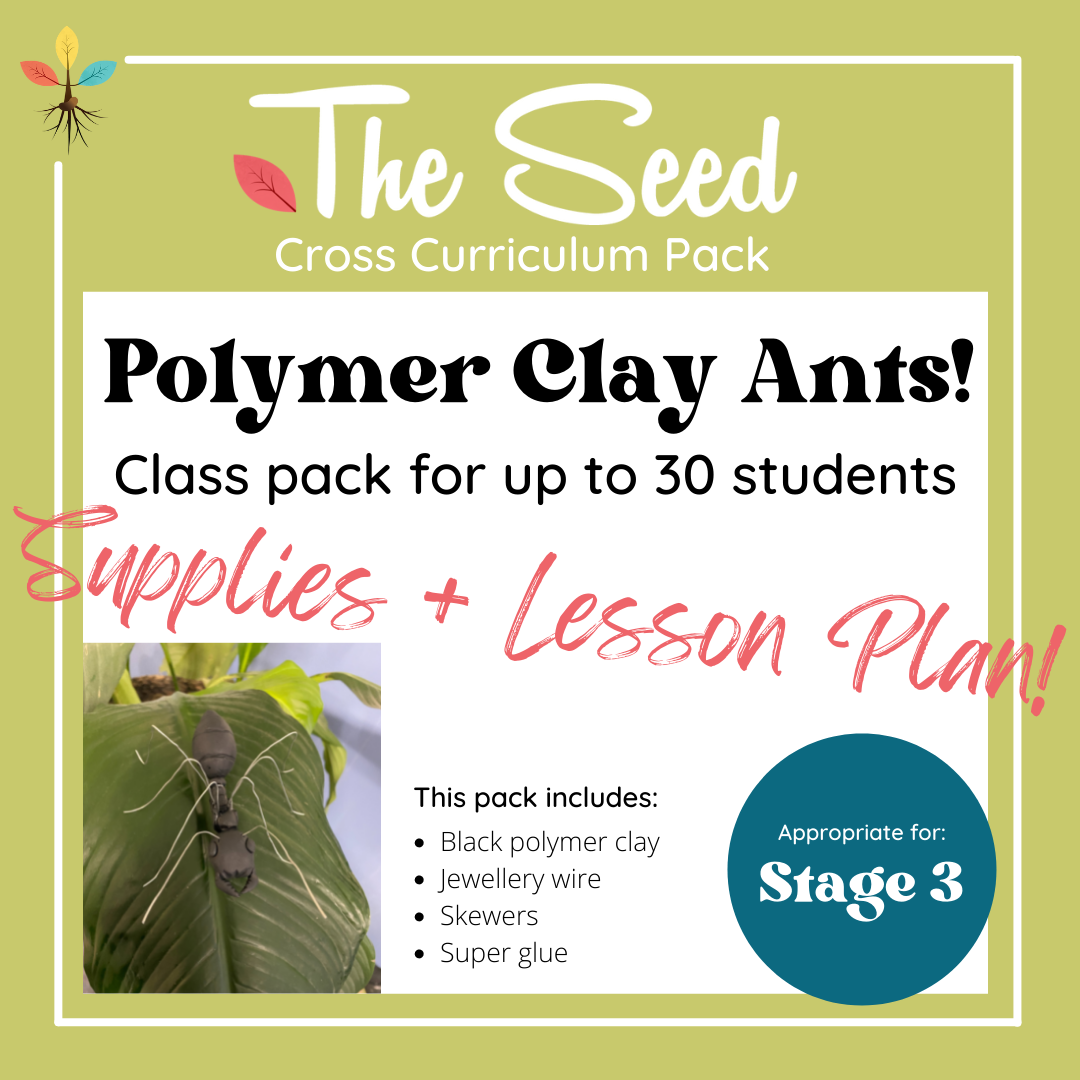 Flooding out the Ants! 30 Student Class Pack