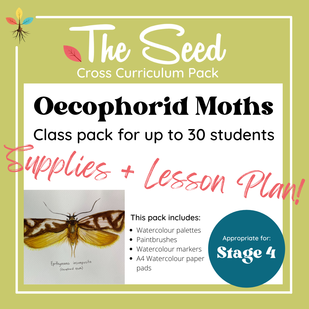 Oechophorid Moths & Bushfires! 30 Student Class Pack