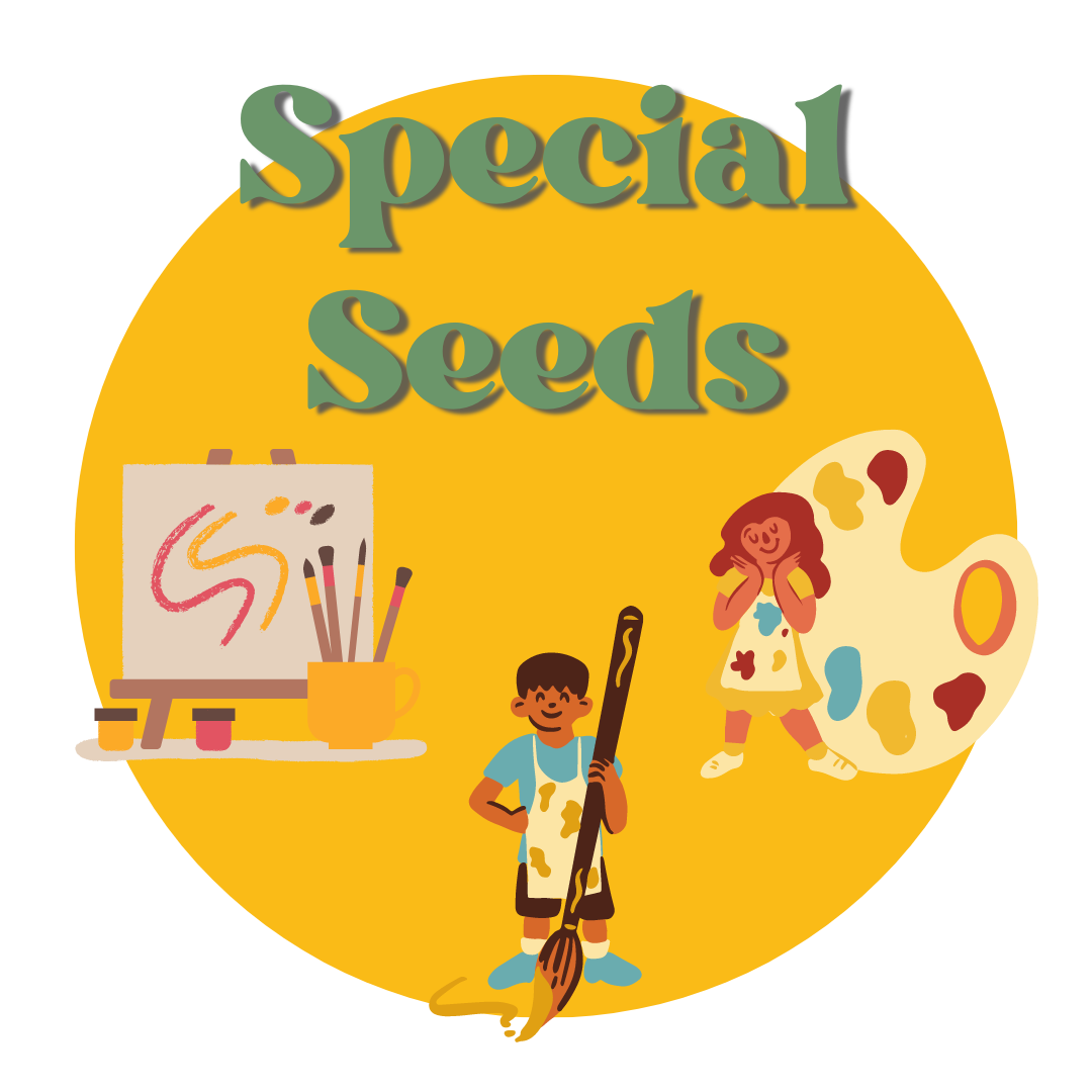 Special Seeds- Art for NDIS kids ages 6-16, 3:45-4:45pm.