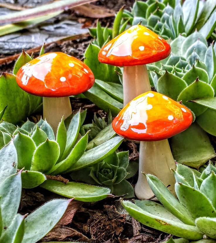 Clay Mushrooms - Wednesday August 13th, 6-8pm