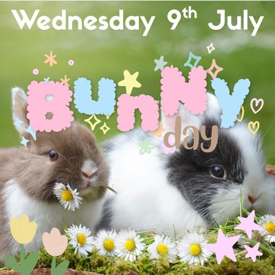 BUNNY DAY - Wednesday 9th July