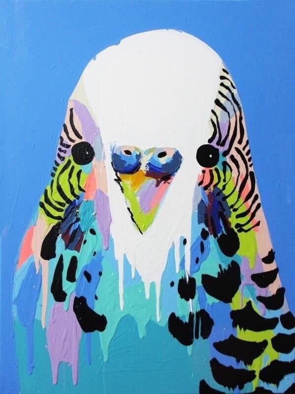 Digital painting class - Budgie